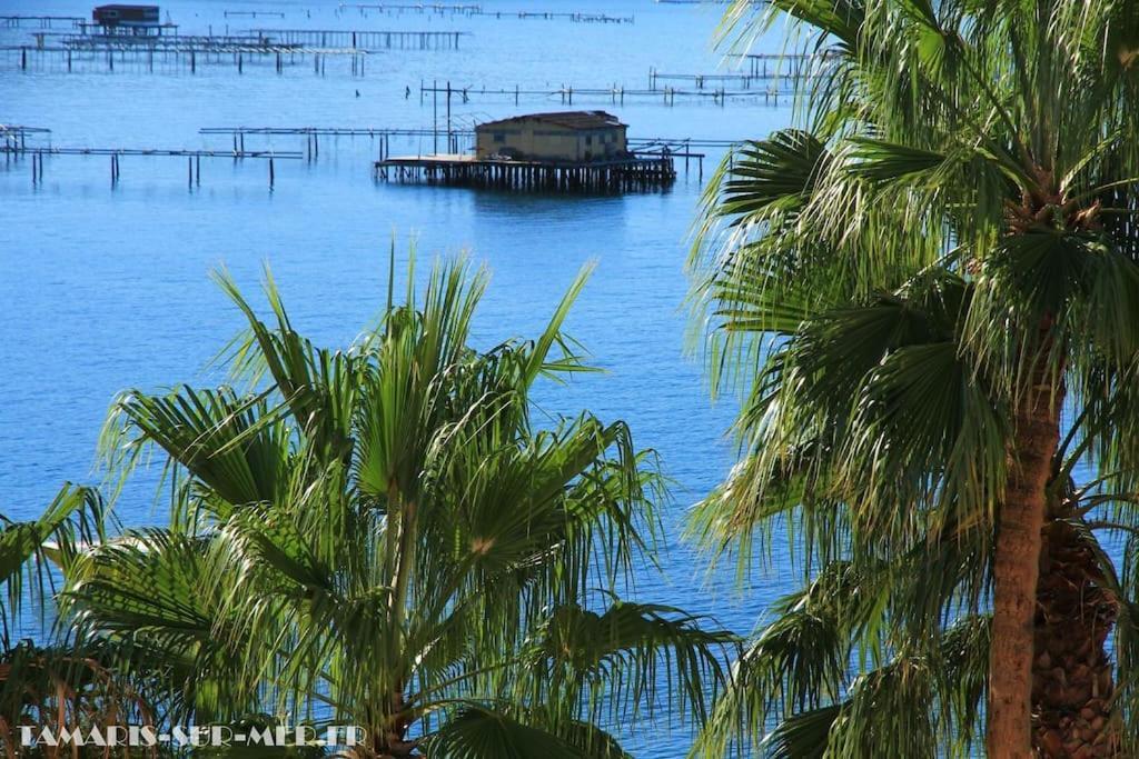 Ferienwohnung Port Tamaris, Le Troisieme La Seyne-sur-Mer Exterior foto
